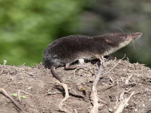 08_01_2018-jalkakashuttarakhan