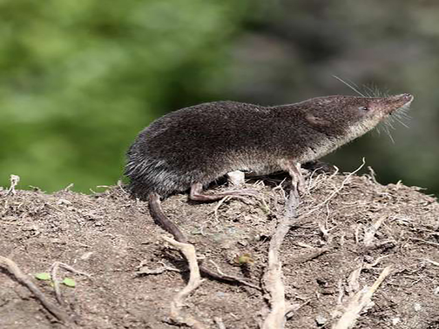 08_01_2018-jalkakashuttarakhan