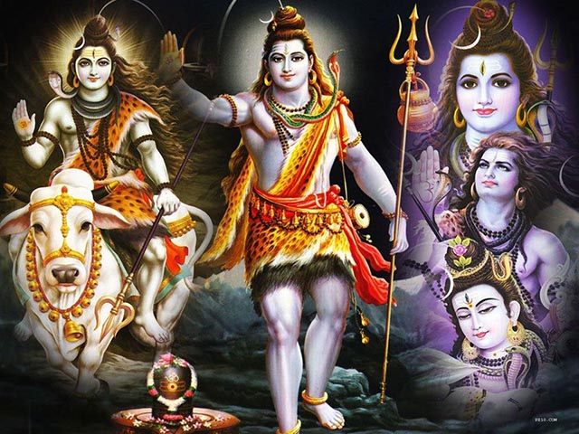 shiv