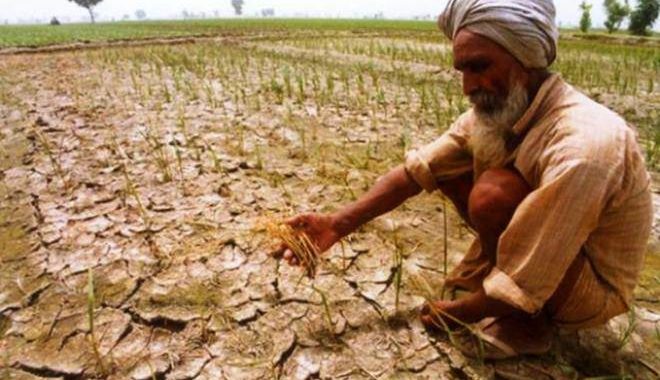 पहली बार मोदी सरकार ने माना- किसानों पर नोटबंदी का हुआ बुरा असर