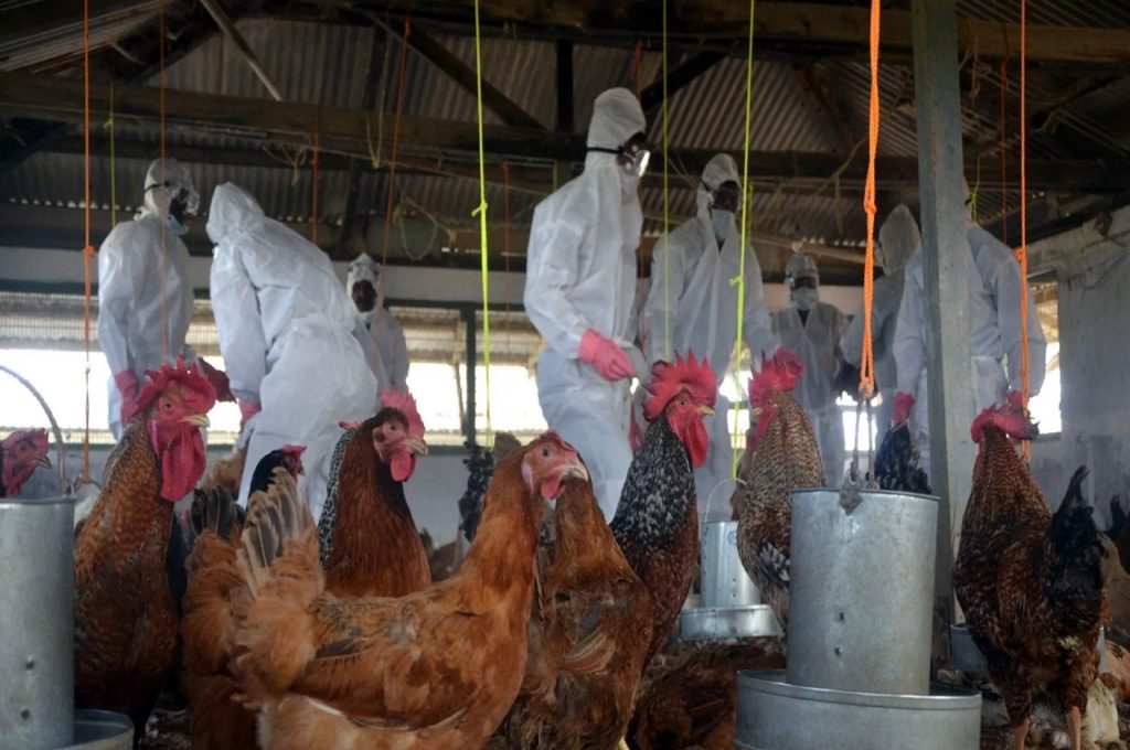 4e3482b9-c232-4f42-a9de-d16a6e9b8c8d