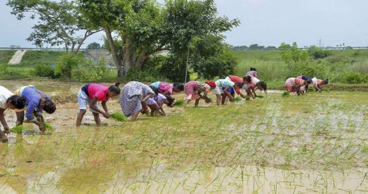 पीएम किसान की 14वीं किस्त: सरकार 28 जुलाई को खाते में डालेगी पैसा, जल्दी करें ये 3 काम