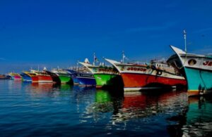 63ee0991fc48eb674c589d474f3167d6_342_660