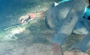 d449e45d7ca2b2ec703d074f3a85375f_342_660