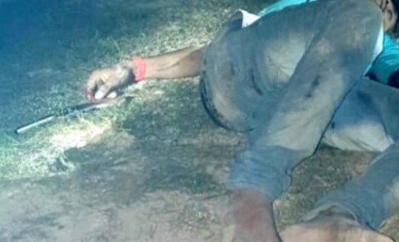 d449e45d7ca2b2ec703d074f3a85375f_342_660