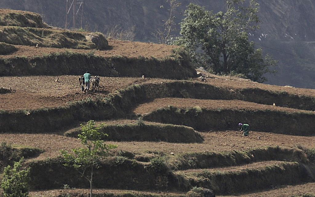0.62551800_1590148515_uttarakhand-farming-1