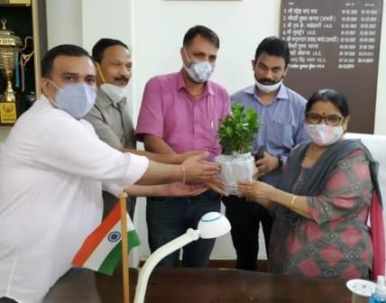 71981252-c01f-4603-a195-165c4e570a38