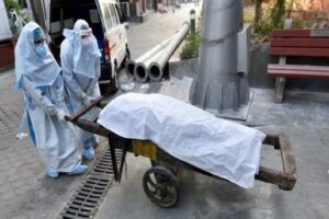 810a26037cb3c9b8515e3560d6c2985f_342_660