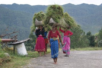 घसियारी