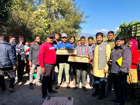 क्रायलर(Kuroiler