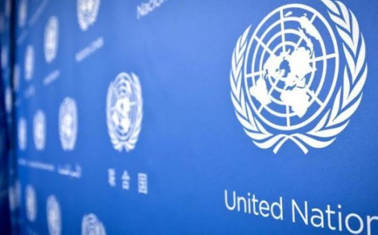 dac3314589460a7a633cd29b78102ab0_342_660