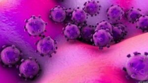 नोरोवायरस