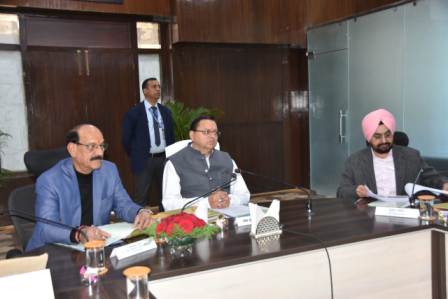 वन्यजीव बोर्ड