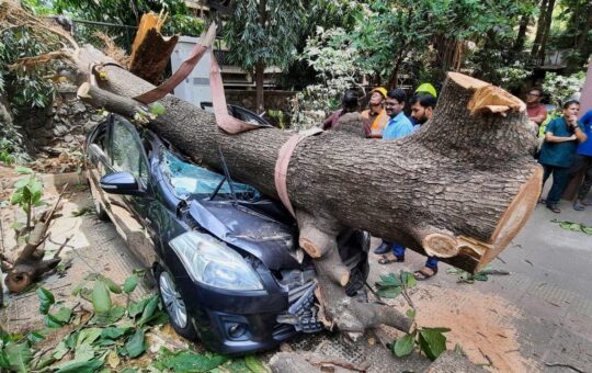 बिपरजॉय तूफान: राजस्थान के बाड़मेर में रेड अलर्ट; गुजरात में बिपरजॉय ने मचाई तबाही, 2 लोगों की मौत, 22 घायल