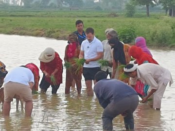 सुबह-सुबह हरियाणा के खेतों में पहुंचे राहुल गांधी, ट्रैक्टर से की जुताई, किसानों के साथ की धान की रोपाई