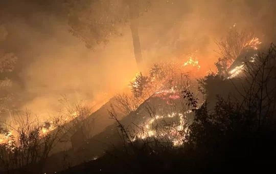 उत्तराखण्डः जंगलों में बेकाबू हुई आग, एक दिन में 54 घटनाए