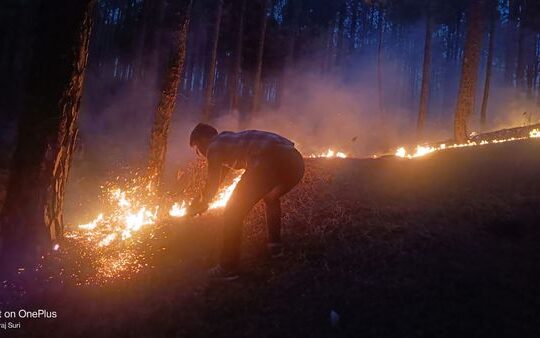 उत्तराखंडः जंगल आग से धधक रहे, और वन मंत्री  सैर सपाटे पर