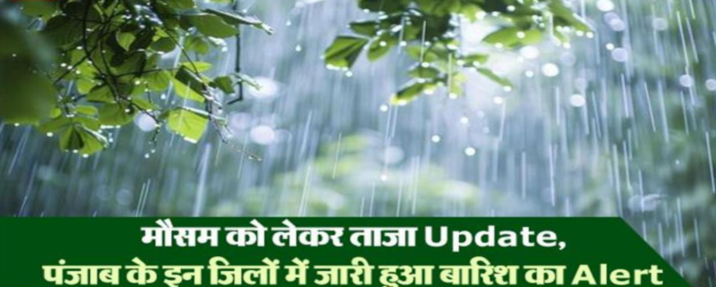 Screenshot 2025-01-30 054139