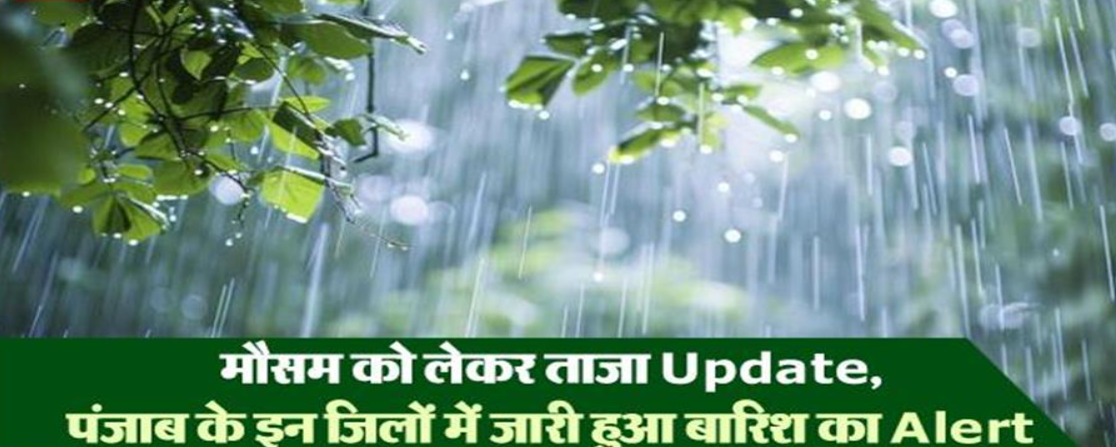 Screenshot 2025-01-30 054139