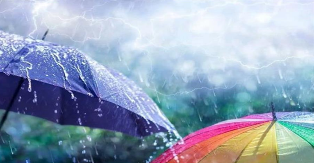 Screenshot 2025-01-31 012902