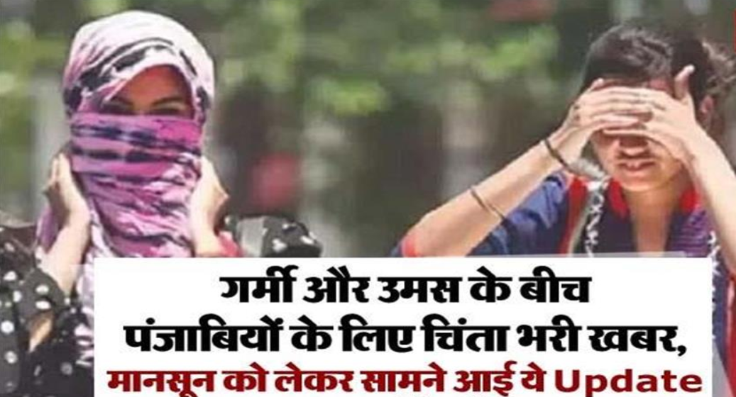 Screenshot 2025-01-31 014649