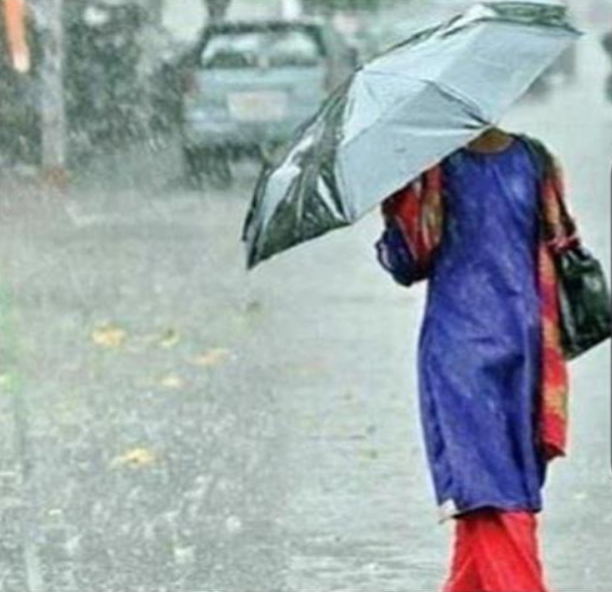 Screenshot 2025-01-31 023025