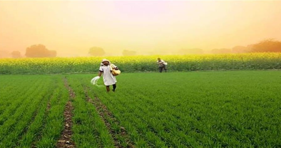 Screenshot 2025-03-20 092937