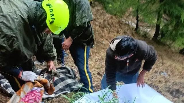 WhatsApp Image 2025-03-15 at 4.46.31 PM