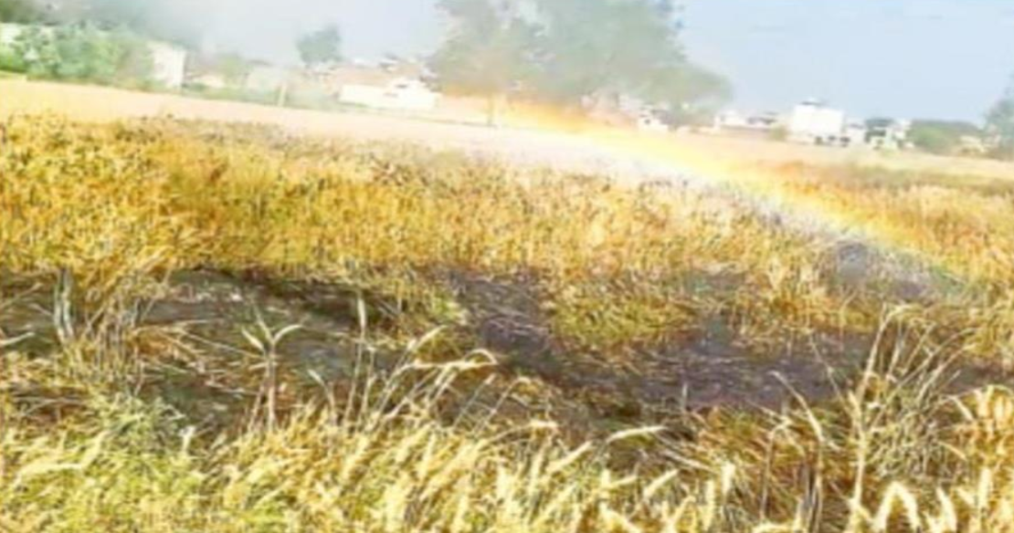 Screenshot 2025-04-06 034340