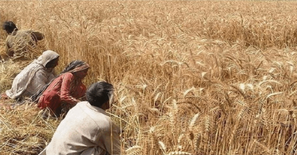 Screenshot 2025-04-17 081220