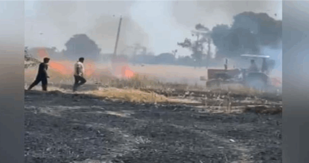 Screenshot 2025-04-17 084052