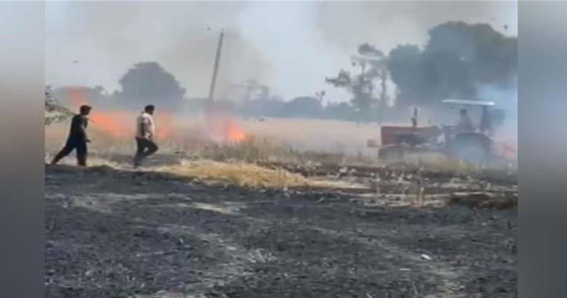 Screenshot 2025-04-17 084052