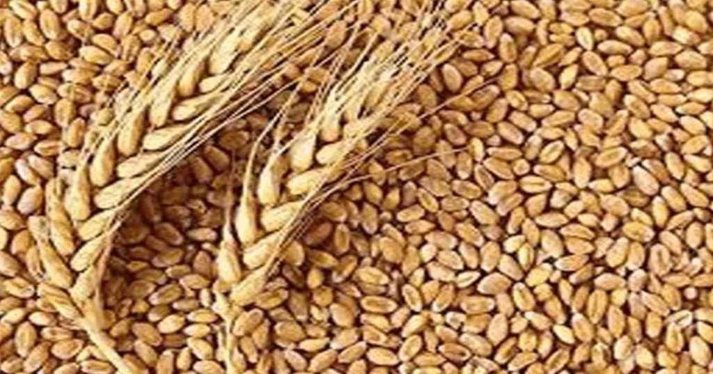 Screenshot 2025-04-20 091636