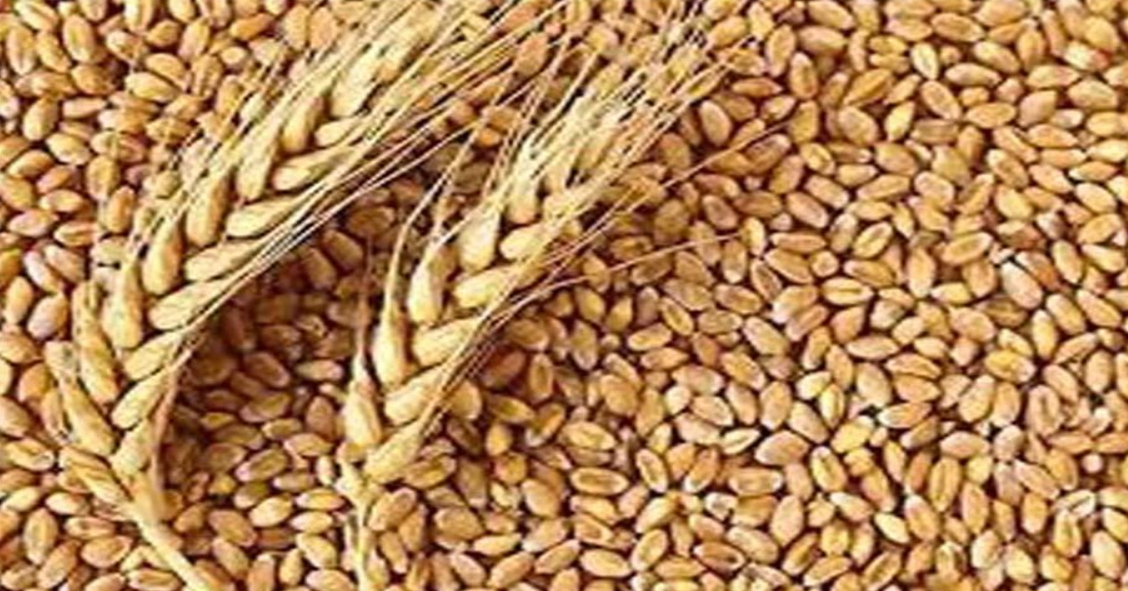 Screenshot 2025-04-20 091636