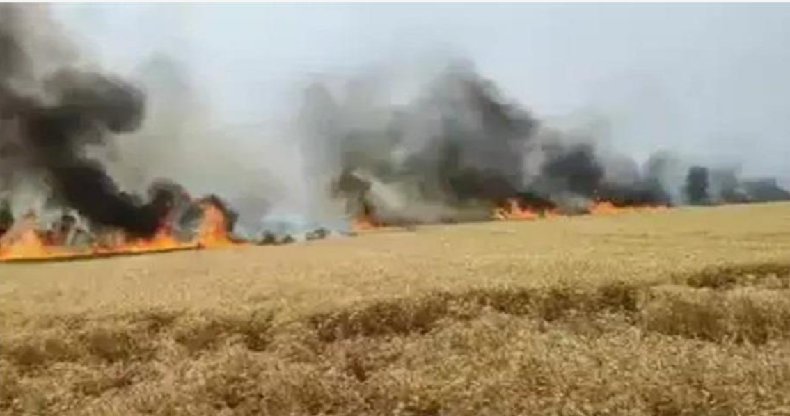 Screenshot 2025-04-25 230959