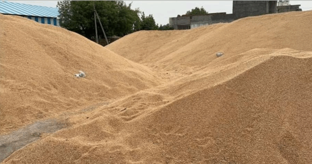 Screenshot 2025-05-20 082401