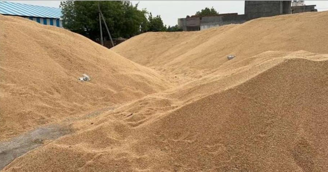 Screenshot 2025-05-20 082401