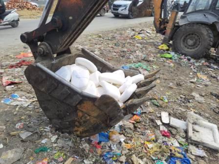 WhatsApp Image 2025-05-28 at 12.53.15 PM (1)