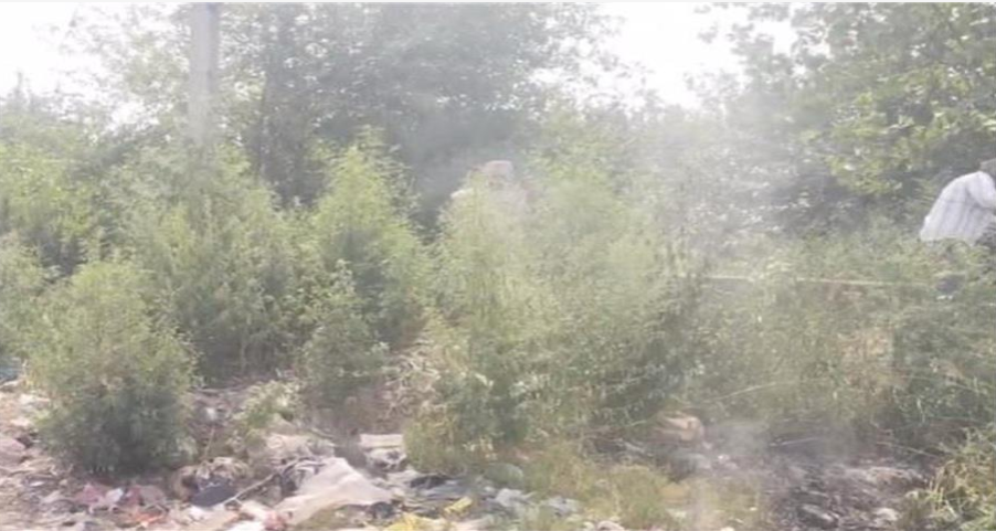 Screenshot 2025-07-03 155331