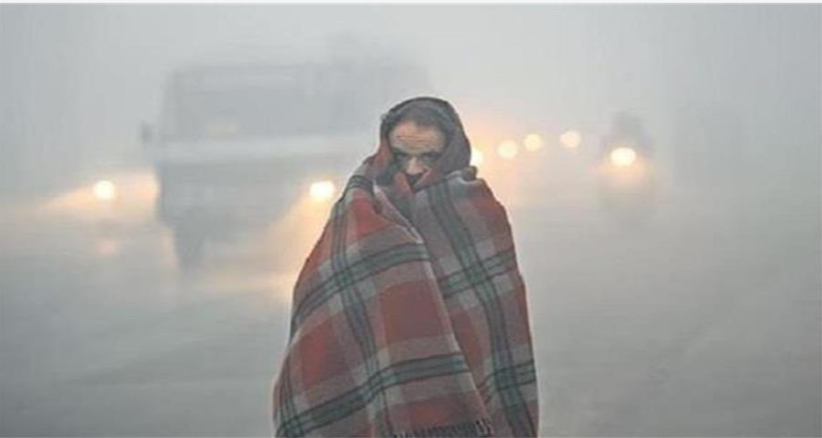 Screenshot 2025-07-03 204234