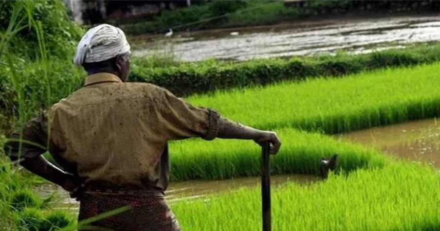 Screenshot 2025-07-04 133527