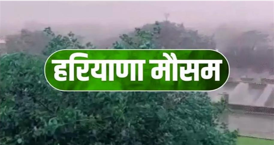 Screenshot 2025-08-19 154521