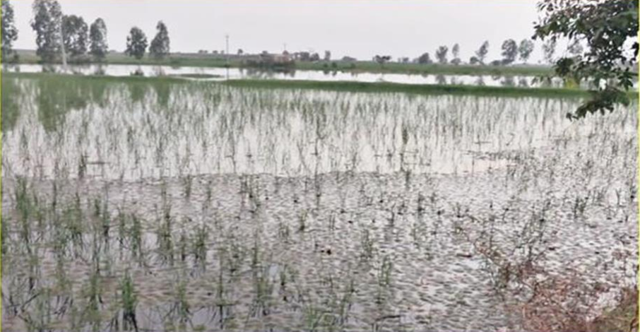 Screenshot 2025-08-23 175215