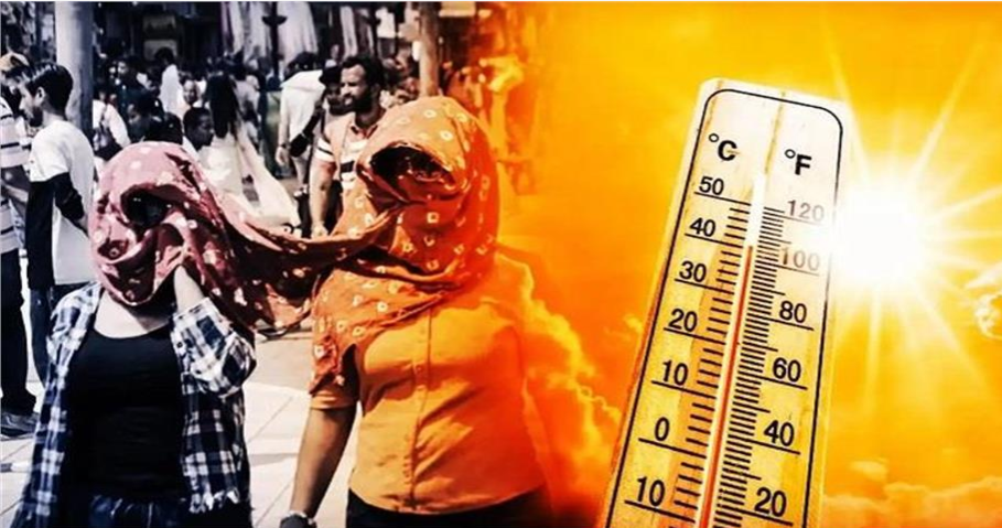 Screenshot 2025-08-25 114634