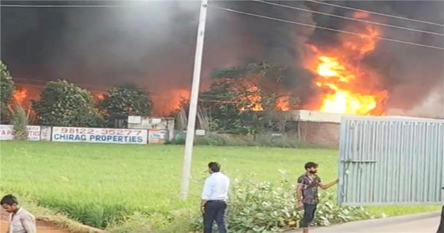 Screenshot 2025-09-01 114524