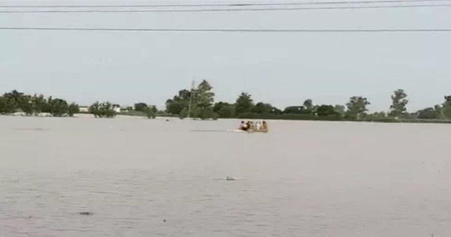 Screenshot 2025-09-02 152915