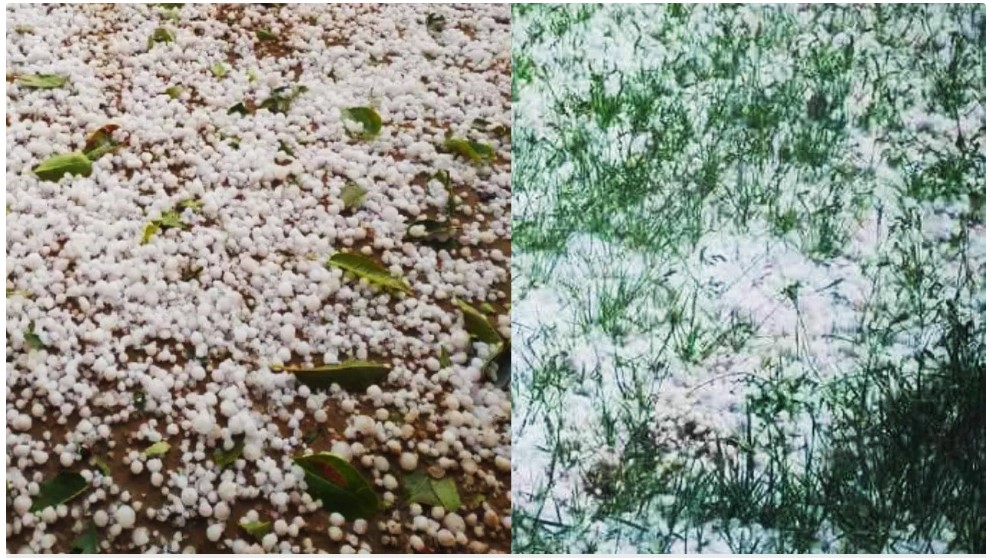 Screenshot 2026-03-11 103250