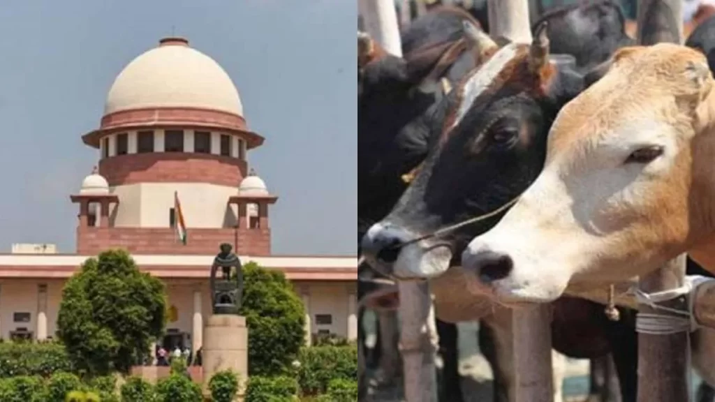 supreme-court-1782887408