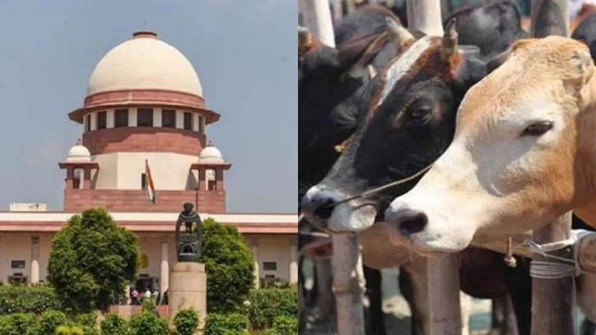 supreme-court-1782887408