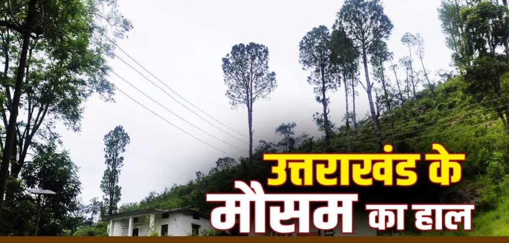 WhatsApp Image 2026-08-26 at 4.18.14 PM